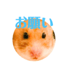 ゴルハムのちくわ（個別スタンプ：8）