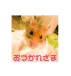 ゴルハムのちくわ（個別スタンプ：13）