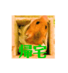 ゴルハムのちくわ（個別スタンプ：16）