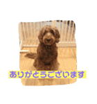 ★MOCO★（個別スタンプ：7）