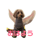 ★MOCO★（個別スタンプ：8）
