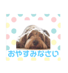 ★MOCO★（個別スタンプ：9）