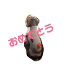 ★MOCO★（個別スタンプ：14）
