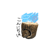 うさ山さん2（個別スタンプ：6）