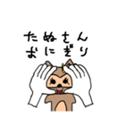 たぬさんスタンプ（個別スタンプ：37）