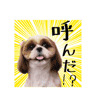 大靖くんぽぽちゃん（個別スタンプ：19）