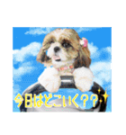 大靖くんぽぽちゃん（個別スタンプ：20）
