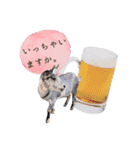 ミニヤギ´( θ ω θ )`②（個別スタンプ：8）