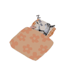 ミニヤギ´( θ ω θ )`②（個別スタンプ：17）