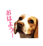 おクゥーちゃん。（個別スタンプ：6）