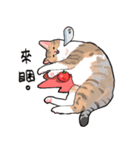 ママ 猫-02（個別スタンプ：6）