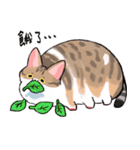 ママ 猫-02（個別スタンプ：13）