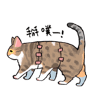 ママ 猫-02（個別スタンプ：14）