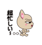 ため口だけど憎めない猫（個別スタンプ：21）