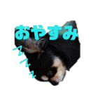 まろシリーズ（個別スタンプ：2）