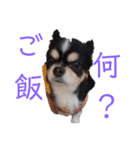 まろシリーズ（個別スタンプ：3）