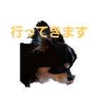 まろシリーズ（個別スタンプ：4）