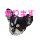 まろシリーズ（個別スタンプ：5）