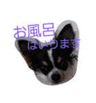 まろシリーズ（個別スタンプ：9）