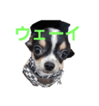 まろシリーズ（個別スタンプ：13）