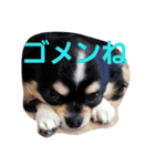 まろシリーズ（個別スタンプ：15）