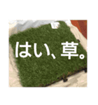 ちーむくそのくそくそスタンプ（個別スタンプ：19）