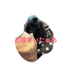 家族だろこれ（個別スタンプ：2）