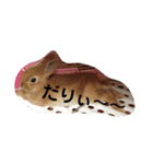 家族だろこれ（個別スタンプ：3）