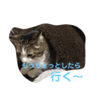 家族だろこれ（個別スタンプ：4）