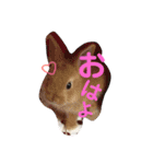 家族だろこれ（個別スタンプ：7）