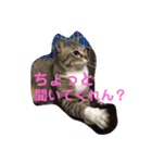 家族だろこれ（個別スタンプ：8）