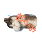 家族だろこれ（個別スタンプ：9）