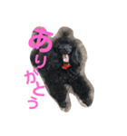 家族だろこれ（個別スタンプ：14）