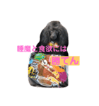 家族だろこれ（個別スタンプ：16）