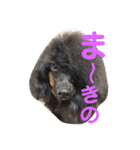 家族だろこれ（個別スタンプ：18）