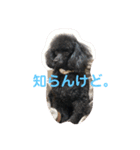 家族だろこれ（個別スタンプ：22）