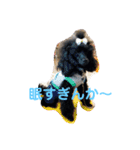 家族だろこれ（個別スタンプ：23）