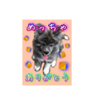 秋田犬  ナッちゃん（個別スタンプ：2）