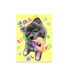 秋田犬  ナッちゃん（個別スタンプ：4）