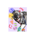 秋田犬  ナッちゃん（個別スタンプ：6）