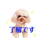 来音の看板犬・ひなののスタンプ（個別スタンプ：2）