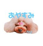 来音の看板犬・ひなののスタンプ（個別スタンプ：5）