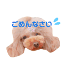 来音の看板犬・ひなののスタンプ（個別スタンプ：7）