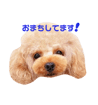 来音の看板犬・ひなののスタンプ（個別スタンプ：8）