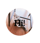 Máni Máni ♡（個別スタンプ：3）