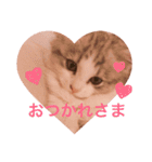 Máni Máni ♡（個別スタンプ：8）