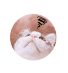 Máni Máni ♡（個別スタンプ：11）
