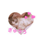 Máni Máni ♡（個別スタンプ：18）