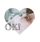 Máni Máni ♡（個別スタンプ：20）