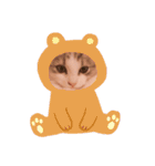 Máni Máni ♡（個別スタンプ：21）